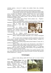 Įmonės marketingo analizė: alaus darykla UAB "Utenos alus" 5 puslapis