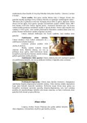 Įmonės marketingo analizė: alaus darykla UAB "Utenos alus" 6 puslapis
