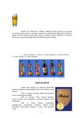 Įmonės marketingo analizė: alaus darykla UAB "Utenos alus" 7 puslapis