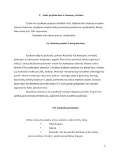 Įmonės produktų tyrimo projektas: UAB "Naujasis Nevėžis" 6 puslapis