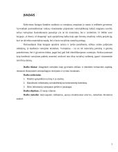 Jauno didmiesčio gyventojo savęs įprasminimas per vartojimą