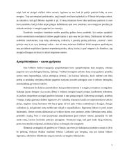 Jauno didmiesčio gyventojo savęs įprasminimas per vartojimą 4 puslapis