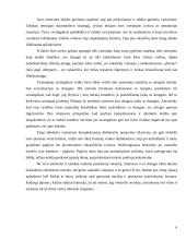 Jauno didmiesčio gyventojo savęs įprasminimas per vartojimą 5 puslapis