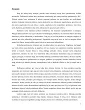 Jauno didmiesčio gyventojo savęs įprasminimas per vartojimą 6 puslapis