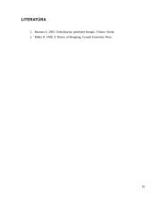 Jauno didmiesčio gyventojo savęs įprasminimas per vartojimą 9 puslapis