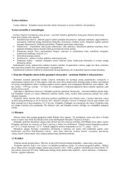 Klaipėdos miesto šiaurinės dalies turizmo ir rekreacinių išteklių, infrastruktūros analizė 2 puslapis