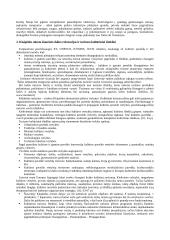 Klaipėdos miesto šiaurinės dalies turizmo ir rekreacinių išteklių, infrastruktūros analizė 5 puslapis