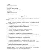 Lietuvos verslo statistinė analizė 4 puslapis