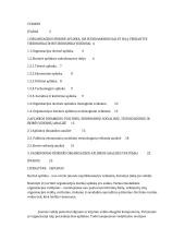 Verslo organizacijos išorinė aplinka