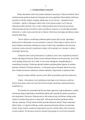 Marketingo tyrimas: cukrainė 2 puslapis