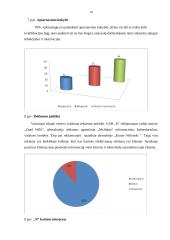 Marketingo tyrimas: cukrainė 13 puslapis