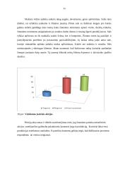 Marketingo tyrimas: cukrainė 14 puslapis