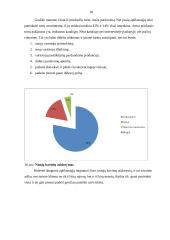 Marketingo tyrimas: cukrainė 17 puslapis