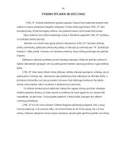 Marketingo tyrimas: cukrainė 19 puslapis