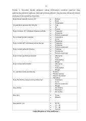 Marketingo tyrimas: cukrainė 20 puslapis