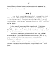 Marketingo tyrimas: cukrainė 3 puslapis