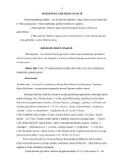 Marketingo tyrimas: cukrainė 4 puslapis