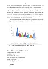 Marketingo tyrimas: cukrainė 5 puslapis