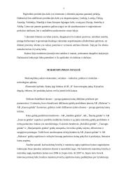 Marketingo tyrimas: cukrainė 6 puslapis