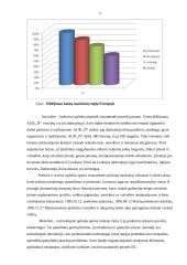 Marketingo tyrimas: cukrainė 8 puslapis