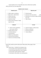 Marketingo tyrimas: cukrainė 9 puslapis