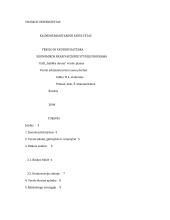 Verslo planas “Itališka duona”