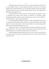 Marketingo tyrimas: maisto prekių parduotuvė naujame mikrorajone UAB Palink "Iki" 11 puslapis