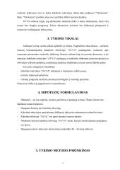 Marketingo tyrimas: televizija UAB "Avva" 5 puslapis