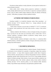 Marketingo tyrimas: televizija UAB "Avva" 6 puslapis