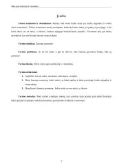 Asmenybės ir visuomenės mitai 2 puslapis