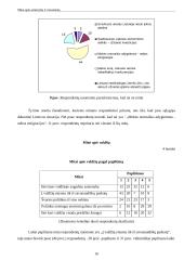 Asmenybės ir visuomenės mitai 16 puslapis