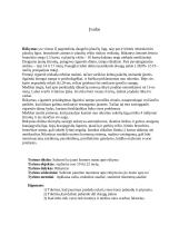 Mokslinis tyrimas: rūkymas 2 puslapis