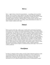 Mokslinis tyrimas: rūkymas 5 puslapis