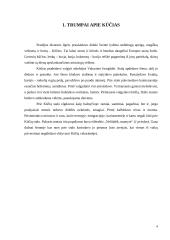 Kūčių tradicijų analizė 4 puslapis