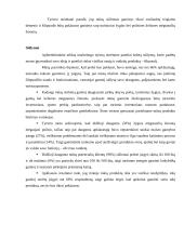 Naujos prekės įvedimas į rinką 12 puslapis