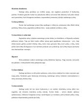 Naujos prekės įvedimas į rinką 3 puslapis