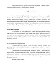 Naujos prekės įvedimas į rinką 4 puslapis