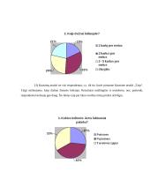 Naujos prekės įvedimas į rinką 6 puslapis