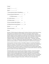 Interesų grupės bei jų efektyvumas