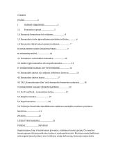 Darbas komandoje organizacijose