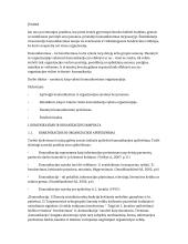 Komunikacijos procesai ir problemos organizacijose