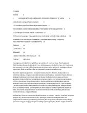 Laidojimo ritualai ir apeigos