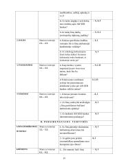 Organizacijos kultūra: SEB banko Kauno filialas 19 puslapis