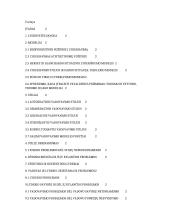 Lyderio problemos organizacijoje