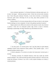 Pedagogo savidiagnozė