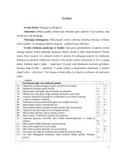 Pedagogo savidiagnozė 3 puslapis