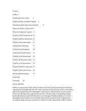 Esminis projekto gyvavimo ciklo etapas – projekto planavimas