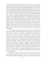 Požiūris į lyčių nelygybę 2 puslapis