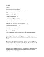 AB „Klaipėdos liftas” strateginis planas