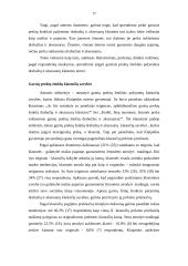 Prestižo ženklai: viduriniosios klasės klaipėdiečių požiūris į drabužių ir aksesuarų klastotes 16 puslapis